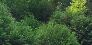 Sportivii Secției moto de la Odobești au participat la o nouă etapă națională de Enduro-Cross