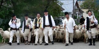FOTO Boteitul oilor, un obicei păstrat în Munții Vrancei, de Sfinții Constantin și Elena