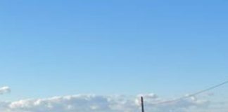 ULTIMA ORĂ Camion răsturnat pe E85, la Haret