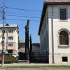 copaci taiati tribunal vechi