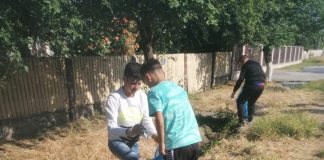 FOTO   Copii și adulți, la curățenie, pe drumurile din Bălești