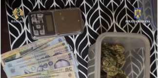 Polițiști din Vrancea, sprijin pentru colegii lor din Buzău într-un dosar de trafic de droguri și operațiuni cu substanțe psihoactive