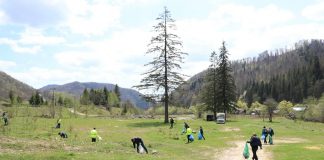 FOTO Acțiuni de ecologizare în Parcul Natural Putna Vrancea