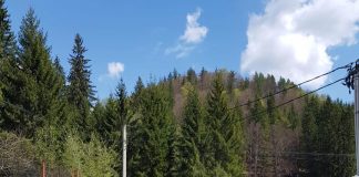 Instituțiile de mediu și administrațiile publice, implicate în acțiuni de ecologizare la Lepșa