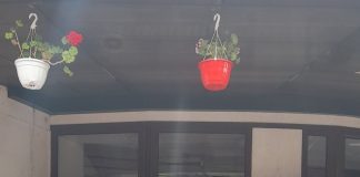 Rezultate foarte bune pentru micii atleți din Adjud