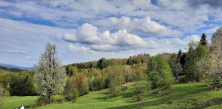 1 Mai 2022, o zi frumoasă pentru drumeții în Munții Vrancei. Sfaturi pentru o plimbare reușită