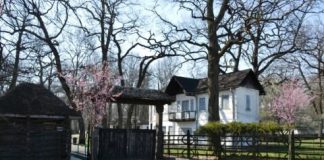 Trinitas TV va filma o emisiune de folclor și tradiții populare la Muzeul Satului din Crângul Petrești