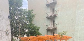 FOTO Plante uscate, în Cartierul Bahne, în cadrul proiectului cu fonduri europene. Plantările s-au făcut de curând