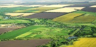 Sprijin de 300 milioane euro pentru sectorul agroalimentar, prin microgranturi şi granturi pentru capital de lucru