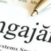 angajari concurs 1