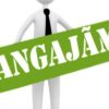 angajari concurs