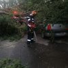 copac rupt masina 1