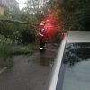 copac rupt masina 2