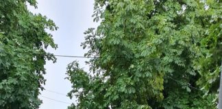 FOTO Furtuna a produs probleme și în Panciu