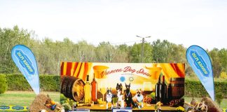 O nouă ediție a concursului chinologic Vrancea Dog Show, la sfârșitul acestei săptămâni