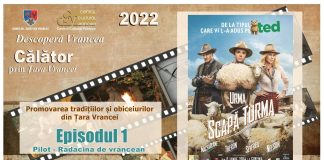 Invitație la film, diseară, la Crângul Petrești