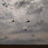 elicopter militar 1
