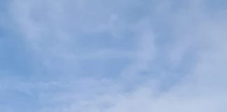 Incendiu de pădure pe raza comunei Bîrsești