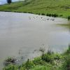 lac vintileasca 1