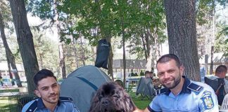 Prevenire și informare cu privire la câinii periculoși și agresivi, la Vrancea Dog Show 2022