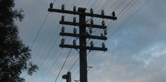 A murit după ce a căzut de pe un stâlp