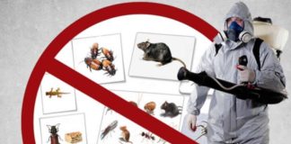 Luni, 25 iulie, dezinsecție și deratizare în Piața Moldovei și Piața Sud