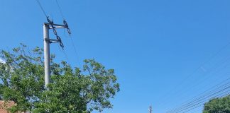 ULTIMA ORĂ Cei 3 minori dispăruți din Ruginești au fost găsiți