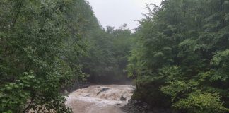 Persoană fără suflare, găsită în albia râului Putna