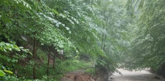 FOTO Scurgerile de pe versanți și aluviunile au produs probleme în Cheile Tișiței