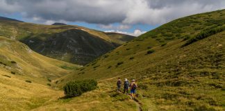 Acțiune de ecologizare, duminică, în zona Tulnici-Lepșa