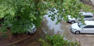 Vijelia a produs câteva probleme în Focșani