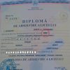 diploma gresita