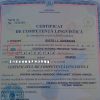 diploma gresita 3