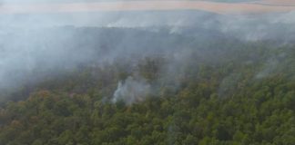 Ministrul Mediului le cere silvicultorilor să patruleze prin pădure pentru a semnala rapid eventuale incendii