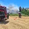 incendiu grecia 2