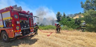 Atenționare pentru românii care vor să meargă în vacanță în Grecia: pericol iminent de producere a incendiilor de vegetație în mai multe zone