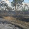 incendiu sihlea 1