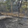 incendiu sihlea