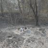 incendiu sihlea 2
