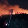 incendiu vegetari (1)