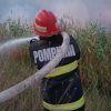 incendiu vegetari (4)