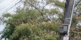 Cod portocaliu de furtună prelungit în mai multe localități din județ