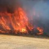 padure foc