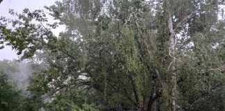 Alerte meteo de vânt și furtună până luni dimineață