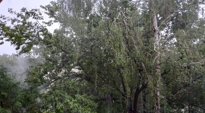 Meteo: vreme de toamnă autentică în următoarele două săptămâni
