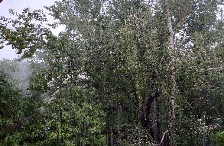 Meteo: vreme de toamnă autentică în următoarele două săptămâni