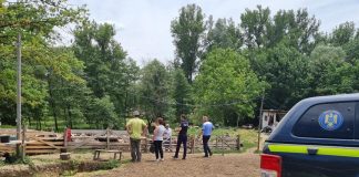 Adjud: acțiuni pentru protecția și bunăstarea animalelor