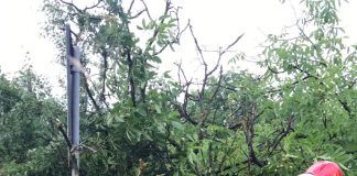 Primele probleme provocate de furtună, în Vrancea