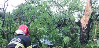 FOTO Pompierii au avut 10 misiuni pentru degajarea copacilor și stâlpilor doborâți de furtună