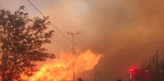 VIDEO-FOTO Al doilea contingent de pompieri români, în Grecia / Au avut, deja, o primă întervenție